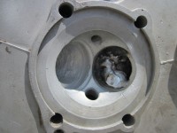 Duck head resize 2.jpg