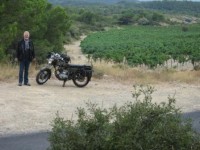 Condor in Clape.JPG