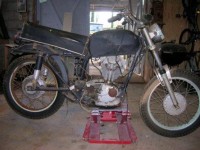 duc.jpg
