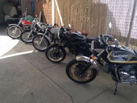 IMG_1625c.jpg