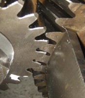 DSCF4780 cropped shrunk.jpg