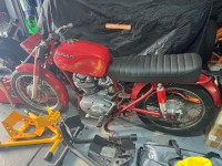 IMG_2373 Medium.jpeg